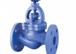 GLOBE VALVE