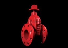 NRSVALVE