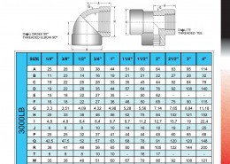 katalog.FH11