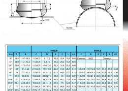 katalog.FH11