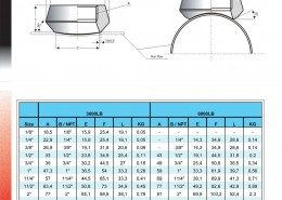 katalog.FH11